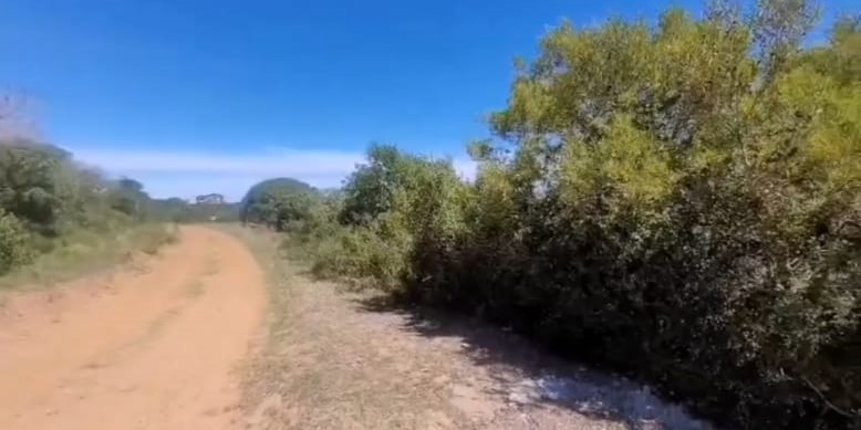 0 Bedroom Property for Sale in Oyster Bay Eastern Cape